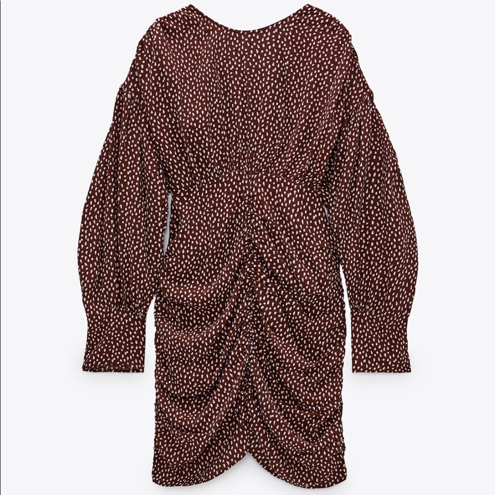 Draped Zara Dress